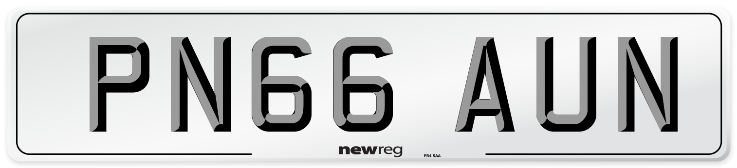 PN66 AUN Number Plate from New Reg
